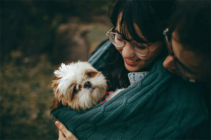 犬のマッサージ効果5選！愛犬の痛みとストレスを和らげる正しい方法